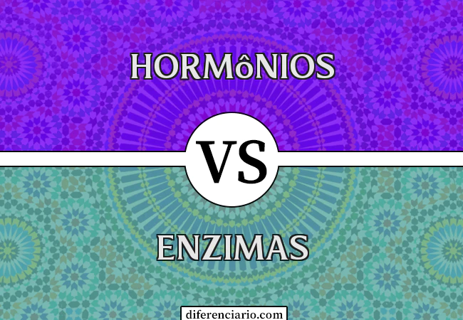 Diferença entre hormônios e enzimas