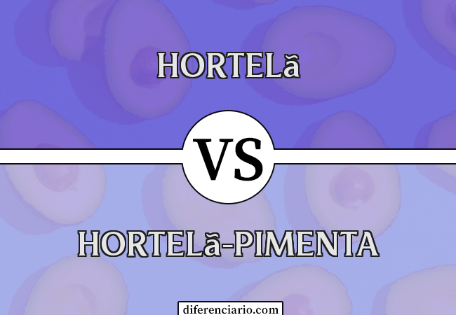 Diferença entre hortelã e hortelã-pimenta