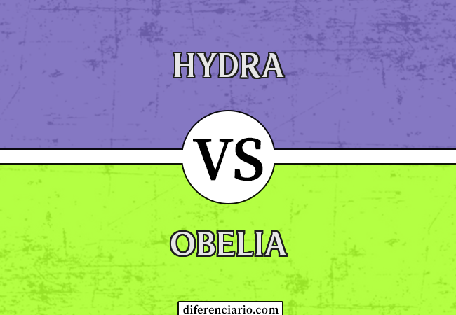 Diferença entre Hydra e Obelia