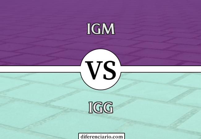 Diferença entre IgM e IgG