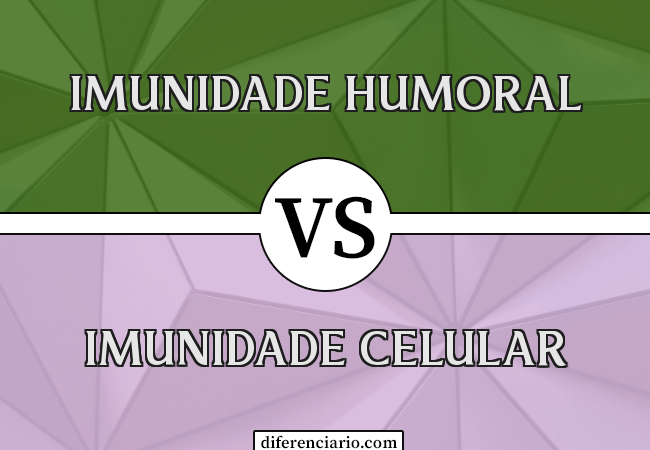 Diferença entre imunidade humoral e imunidade celular