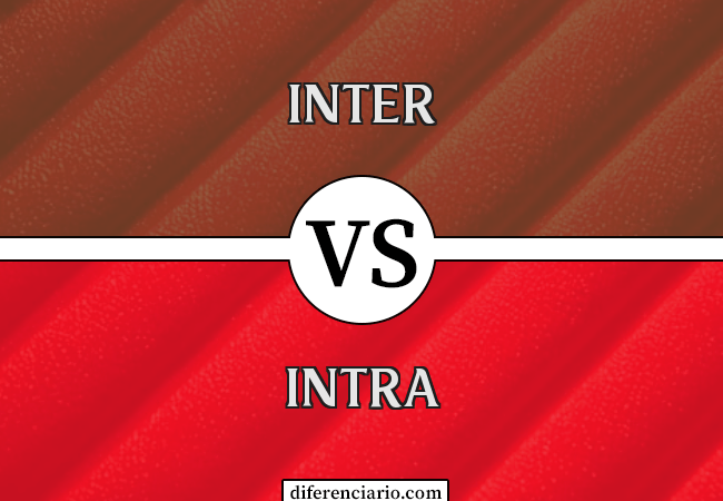 Diferença entre Inter e Intra