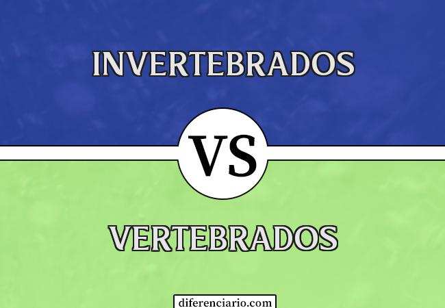 Diferença entre invertebrados e vertebrados