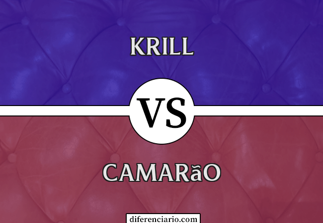 Diferença entre Krill e Camarão