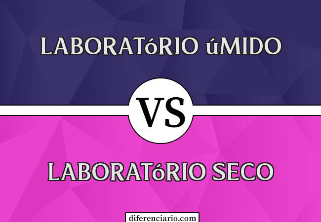 Diferença entre laboratório úmido e laboratório seco