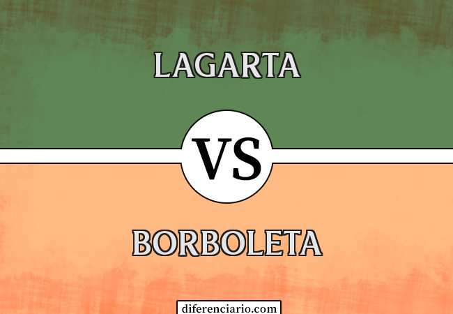 Diferença entre lagarta e borboleta