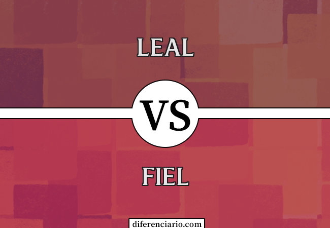 Diferença entre leal e fiel