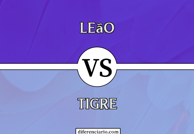 Diferença entre leão e tigre