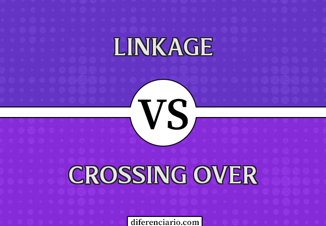 Diferença entre Linkage e Crossing Over