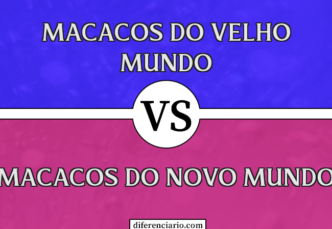 Diferença entre macacos do Velho Mundo e macacos do Novo Mundo