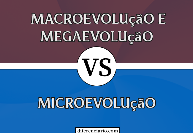 Diferença entre microevolução, macroevolução e megaevolução