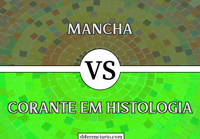 Diferença entre mancha e corante em histologia