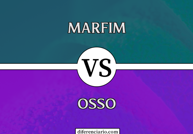 Diferença entre marfim e osso