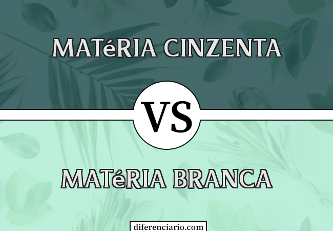 Diferença entre matéria cinzenta e matéria branca