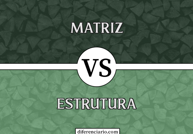 Diferença entre matriz e estrutura