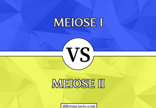 Diferença entre Meiose I e Meiose II