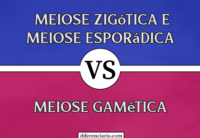 Diferença entre meiose gamética, meiose zigótica e meiose esporádica