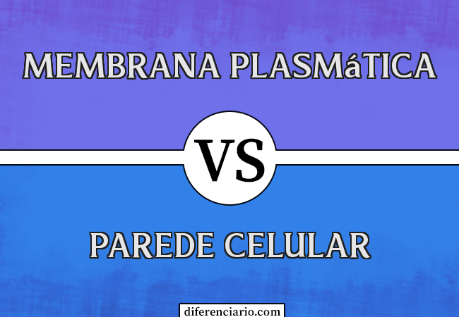 Diferença entre a membrana plasmática e a parede celular