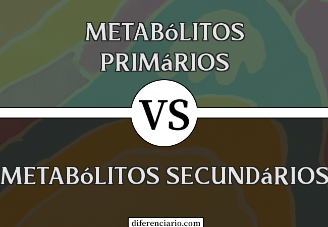 Diferença entre metabólitos primários e metabólitos secundários