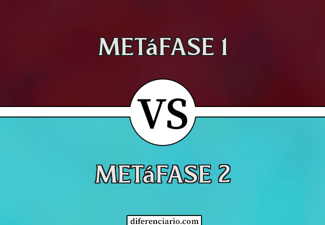 Diferença entre a metáfase 1 e a metáfase 2