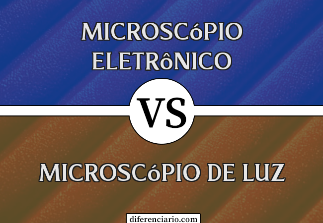 Diferença entre microscópio eletrônico e microscópio de luz