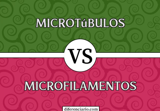 Diferença entre microtúbulos e microfilamentos