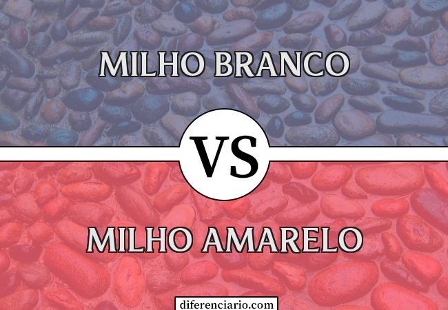 Diferença entre milho branco e milho amarelo