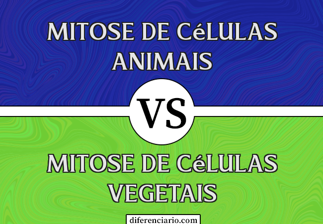 Diferença entre mitose de células animais e mitose de células vegetais