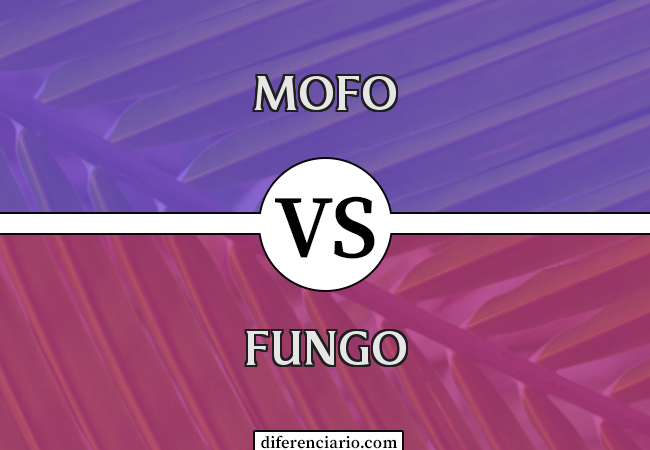 Diferença entre mofo e fungo