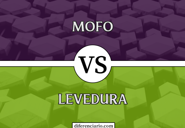 Diferença entre mofo e levedura