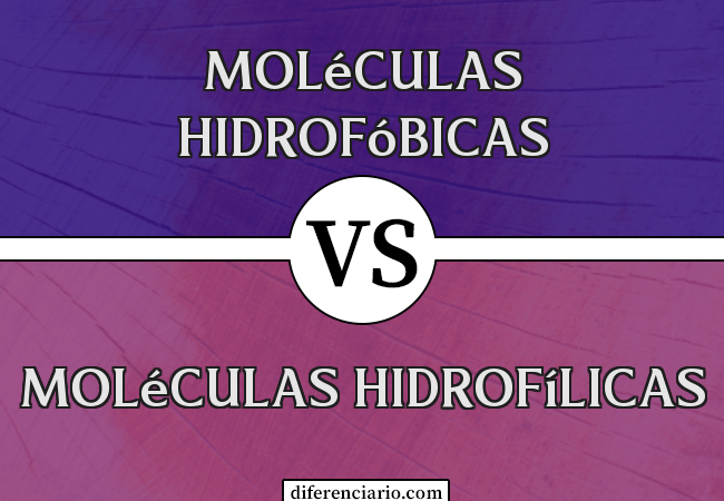 Diferença entre moléculas hidrofóbicas e moléculas hidrofílicas