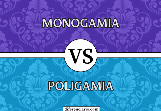 Diferença entre monogamia e poligamia