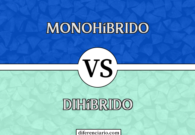 Diferença entre monohíbrido e dihíbrido