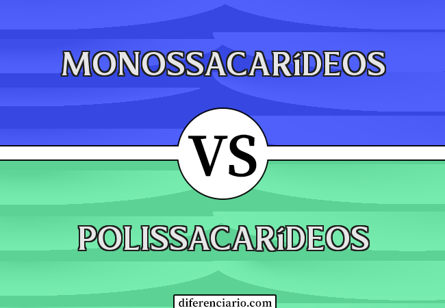 Diferença entre monossacarídeos e polissacarídeos