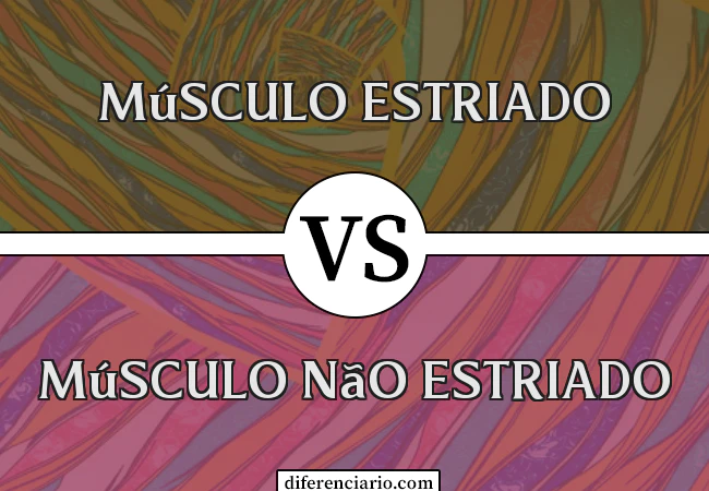 Diferença entre músculo estriado e músculo não estriado