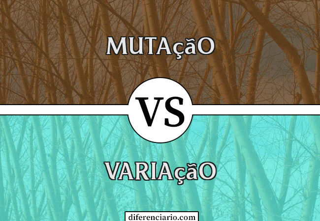 Diferença entre Mutação e Variação