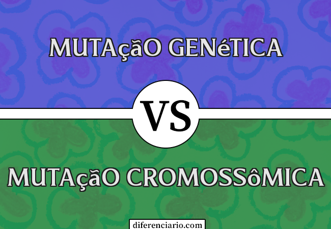 Diferença entre mutação genética e mutação cromossômica