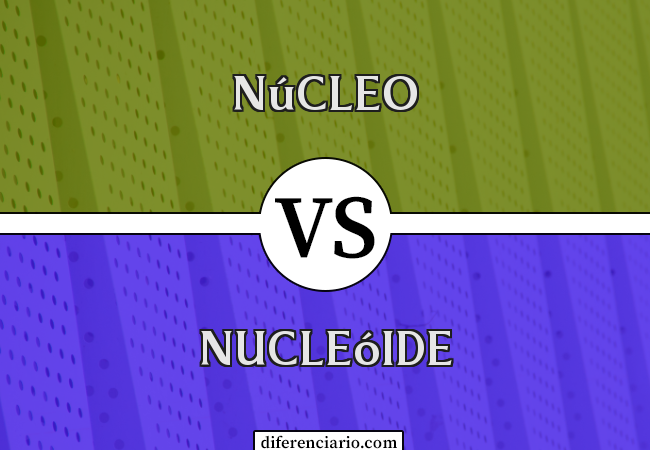 Diferença entre Núcleo e Nucleóide