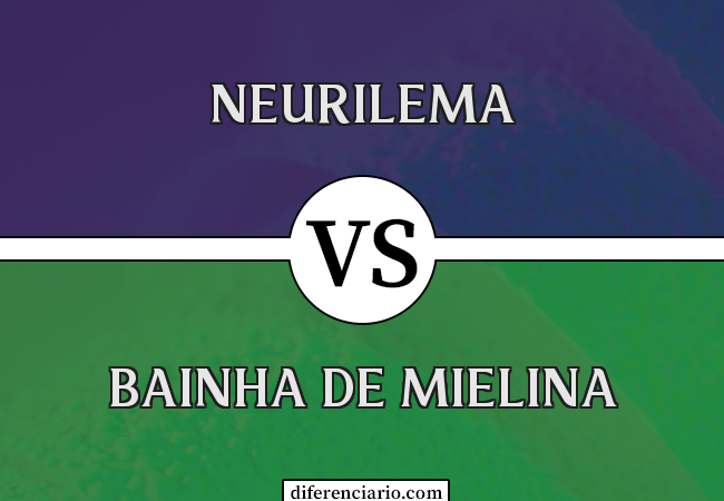 Diferença entre Neurilema e Bainha de Mielina