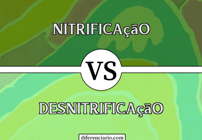 Diferença entre nitrificação e desnitrificação