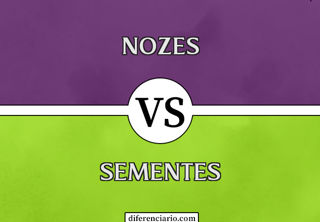 Diferença entre nozes e sementes