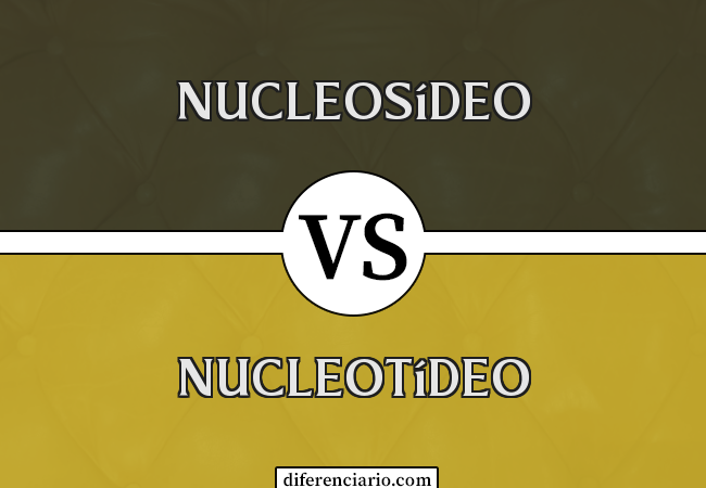 Diferença entre nucleosídeo e nucleotídeo