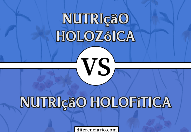 Diferença entre Nutrição Holozóica e Nutrição Holofítica