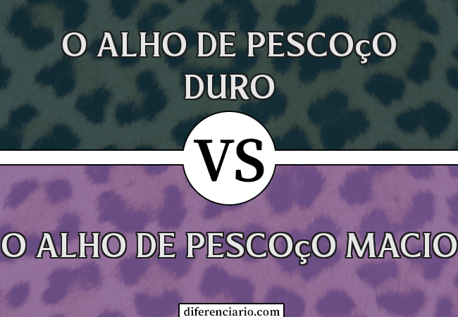 Diferença entre o alho de pescoço duro e o alho de pescoço macio