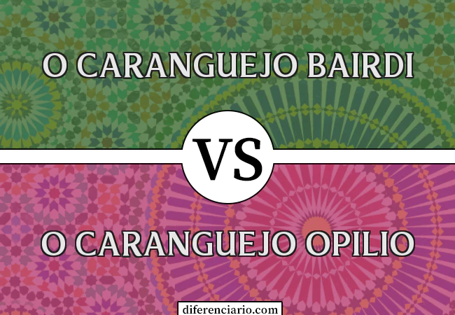 Diferença entre o caranguejo Bairdi e o caranguejo Opilio