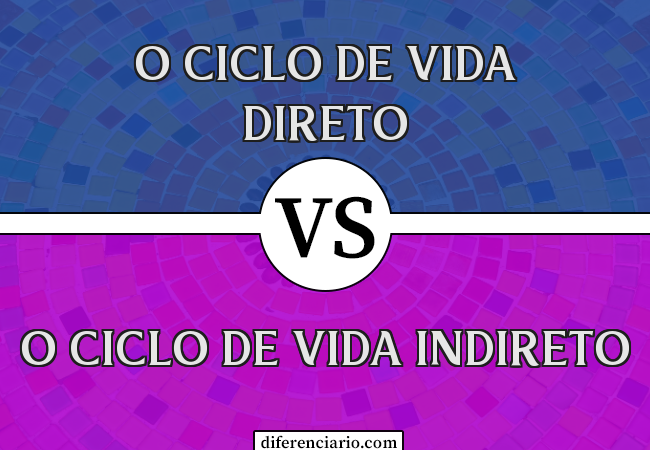 Diferença entre o ciclo de vida direto e o ciclo de vida indireto