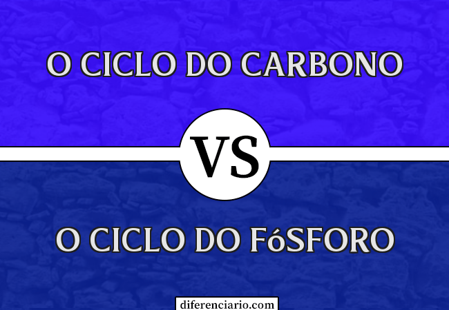 Diferença entre o ciclo do carbono e o ciclo do fósforo