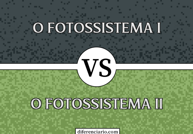 Diferença entre o Fotossistema I e o Fotossistema II