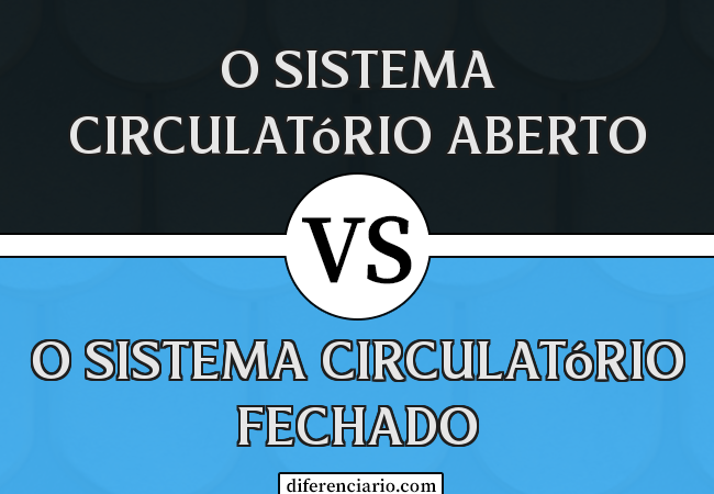 Diferença entre o sistema circulatório aberto e o sistema circulatório fechado