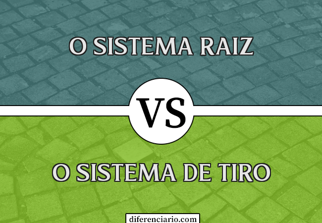 Diferença entre o sistema raiz e o sistema de tiro